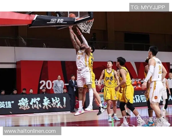 北京排球队的节奏分析与战术探讨如何提升整体表现与团队协作