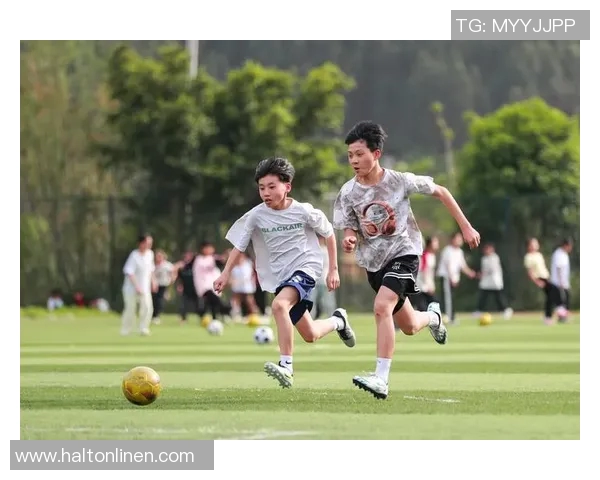 寻找足球明星的乐趣与挑战尽在这款精彩游戏中