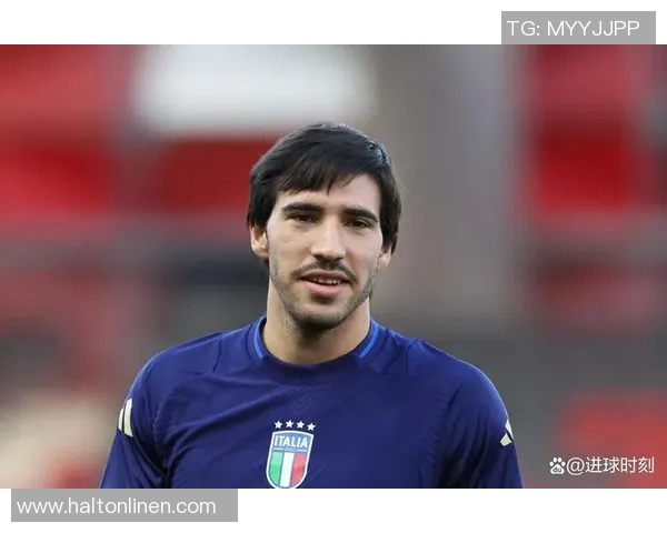 意大利现役前场足球明星的风采与成就全解析