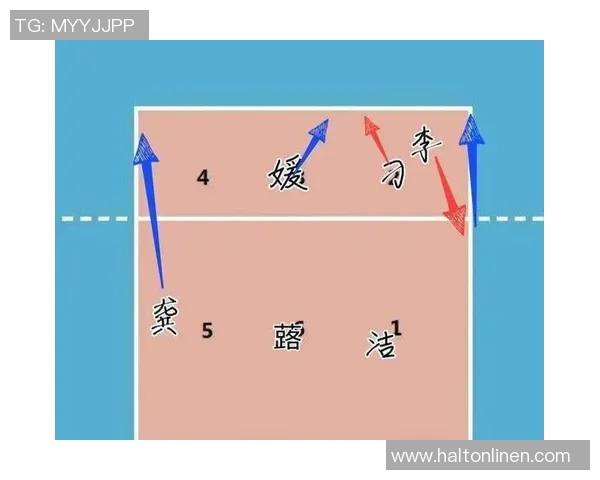 杭州排球队进攻体系解析及战术创新研究