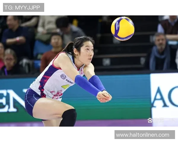 杭州排球队实力强劲荣登全国排球实力排行榜第七位