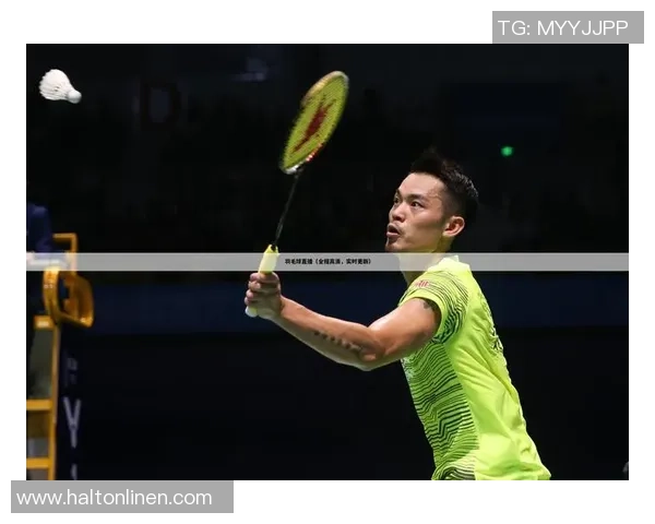 杭州羽毛球队在世界杯上的精彩表现与力量解析