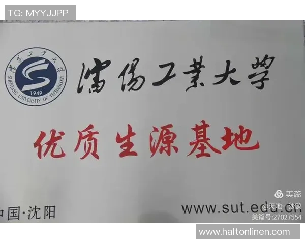 武汉乒乓球队的辉煌征程与冠军赛背后的奋斗故事