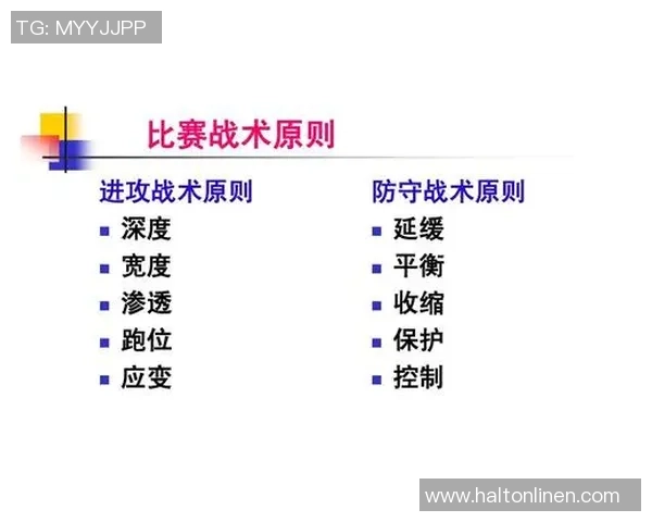 深圳排球队区域防守体系解析与战术应用探讨