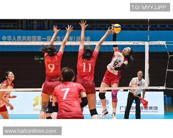 陈强专访：从排球新星到传奇教练的奋斗与荣耀之路