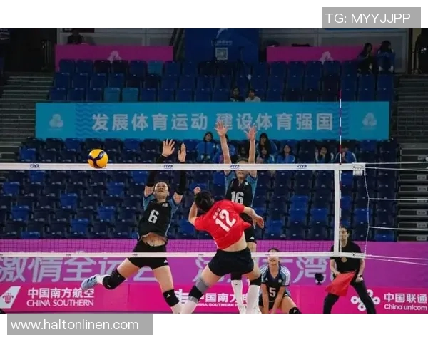 最新排球速度TOP10：成都排球队领跑