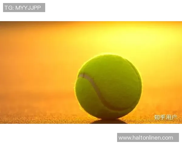 网球深度:解密南京网球队的防守